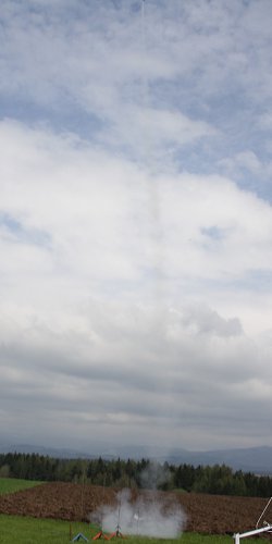 2013 Svojek Mirek Topinka